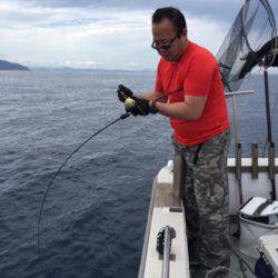 シーモンキー 釣果