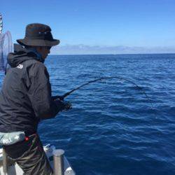 シーモンキー 釣果