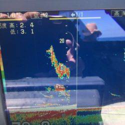 シーモンキー 釣果