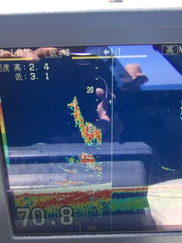 シーモンキー 釣果