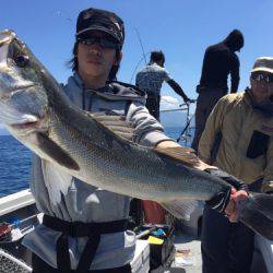 シーモンキー 釣果