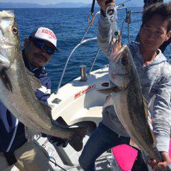 シーモンキー 釣果