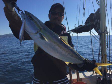 シーモンキー 釣果