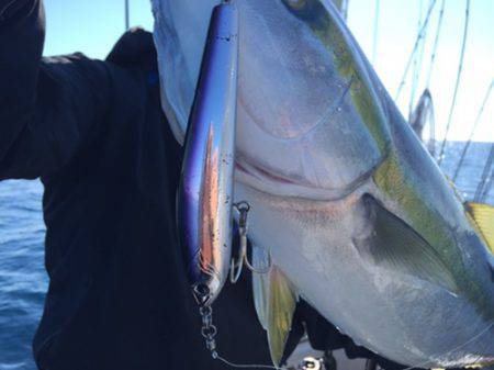 シーモンキー 釣果