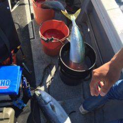 シーモンキー 釣果