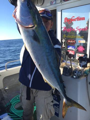 シーモンキー 釣果