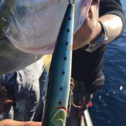 シーモンキー 釣果