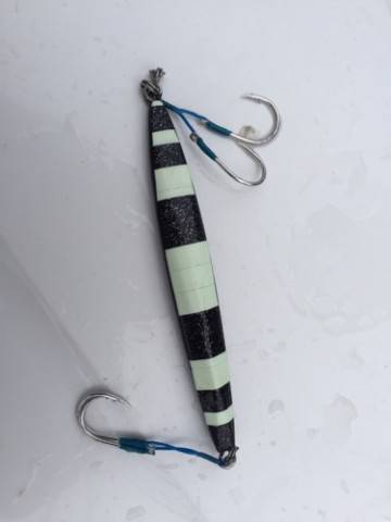 シーモンキー 釣果