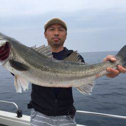 シーモンキー 釣果