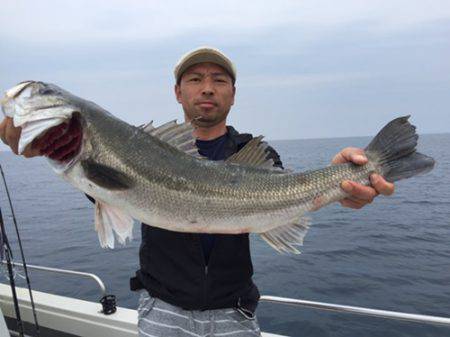 シーモンキー 釣果