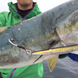 シーモンキー 釣果