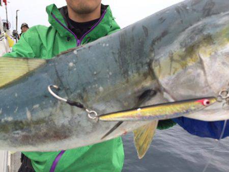 シーモンキー 釣果