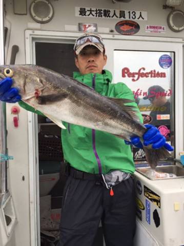 シーモンキー 釣果