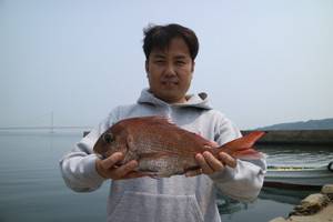 魚英 釣果