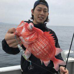 たいし丸 釣果