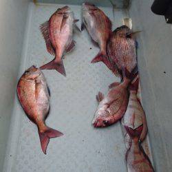 遊漁船ブルーウッズ 釣果