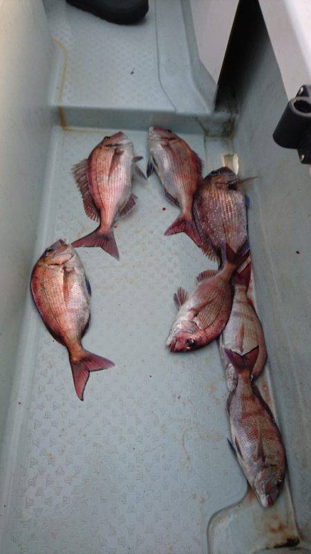 遊漁船ブルーウッズ 釣果