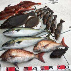 ふじしめ丸 釣果