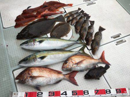 ふじしめ丸 釣果