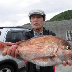 大進丸（新潟） 釣果