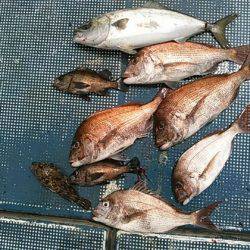 フィッシングガイド りょう 釣果