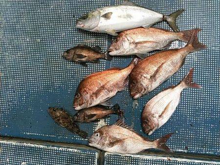 フィッシングガイド りょう 釣果