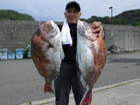 大進丸（新潟） 釣果