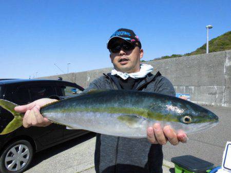 大進丸(新潟) 釣果