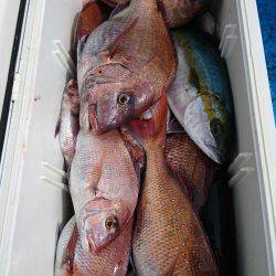 龍神丸(福井) 釣果