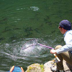 小菅トラウトガーデン 釣果