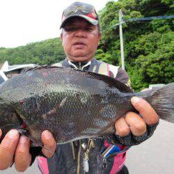 千津丸 釣果