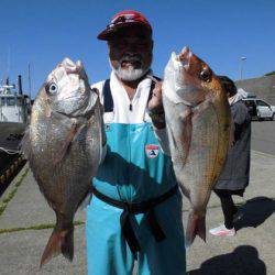 大進丸（新潟） 釣果