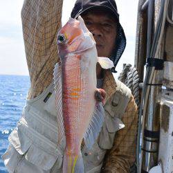 宝生丸 釣果