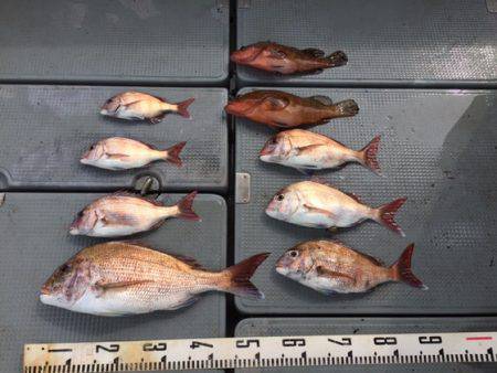 遊漁船高橋 釣果