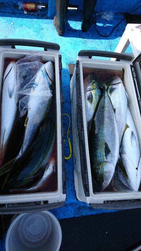 龍神丸（福井） 釣果