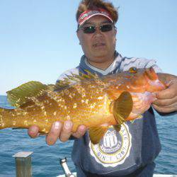 真祐丸 （しんゆうまる） 釣果