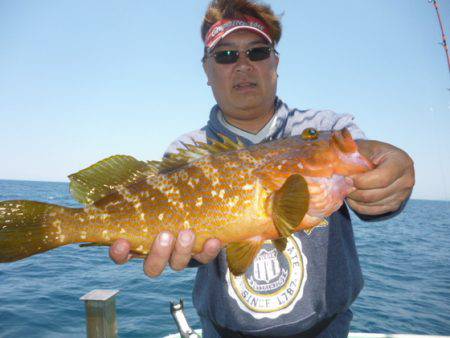 真祐丸 （しんゆうまる） 釣果