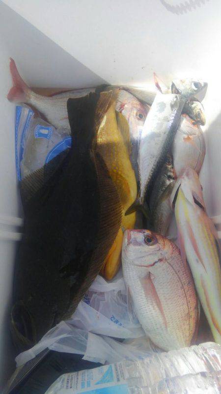 遊漁船 新鋭丸 釣果