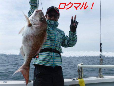 遊漁船 幸友丸 釣果