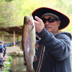 小菅トラウトガーデン 釣果