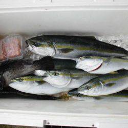 大進丸(新潟) 釣果