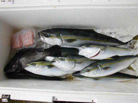 大進丸(新潟) 釣果