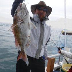 遊漁船 幸友丸 釣果