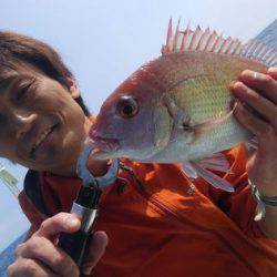 遊漁船 新鋭丸 釣果