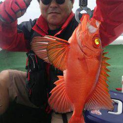 遊漁船 新鋭丸 釣果