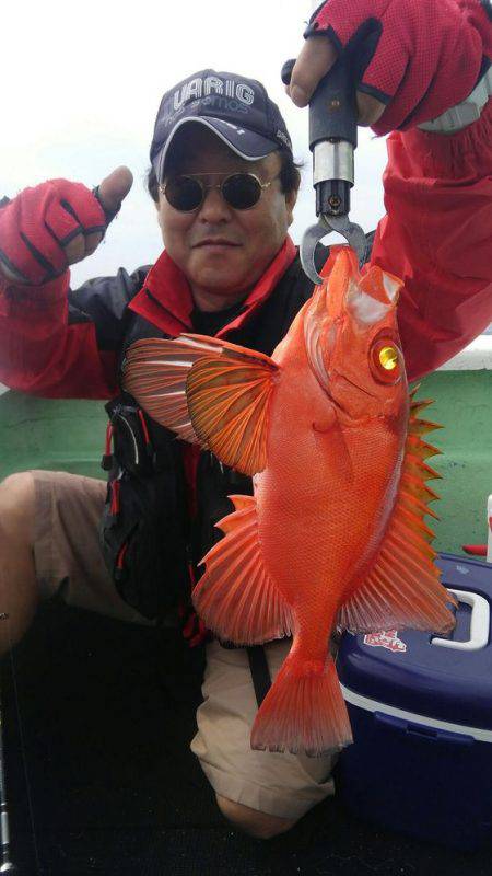 遊漁船 新鋭丸 釣果