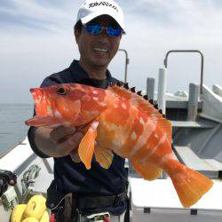 たいし丸 釣果