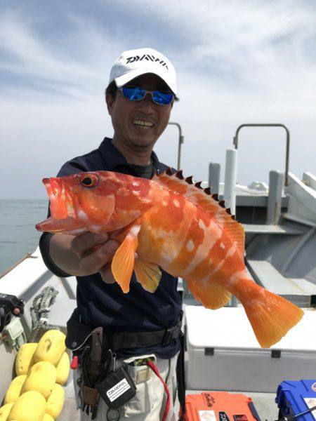 たいし丸 釣果