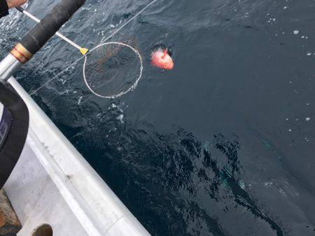 番匠高宮丸 釣果