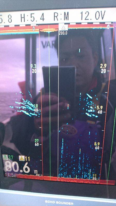 遊漁船ブルーウッズ 釣果